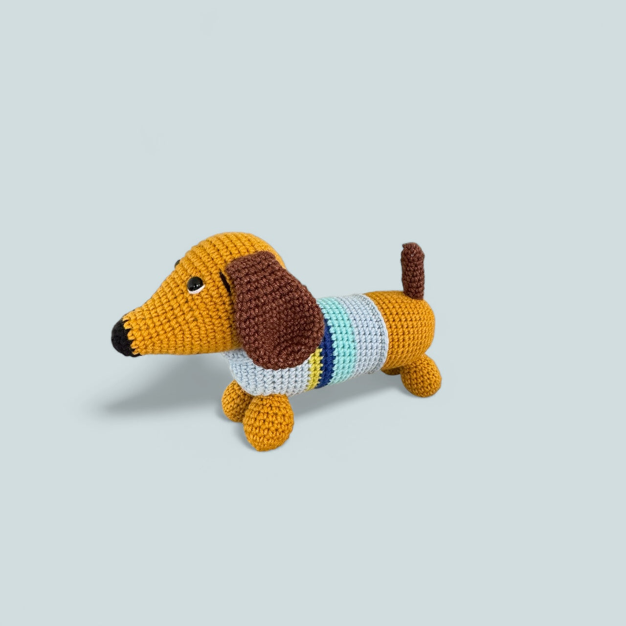 Datchshund Dog