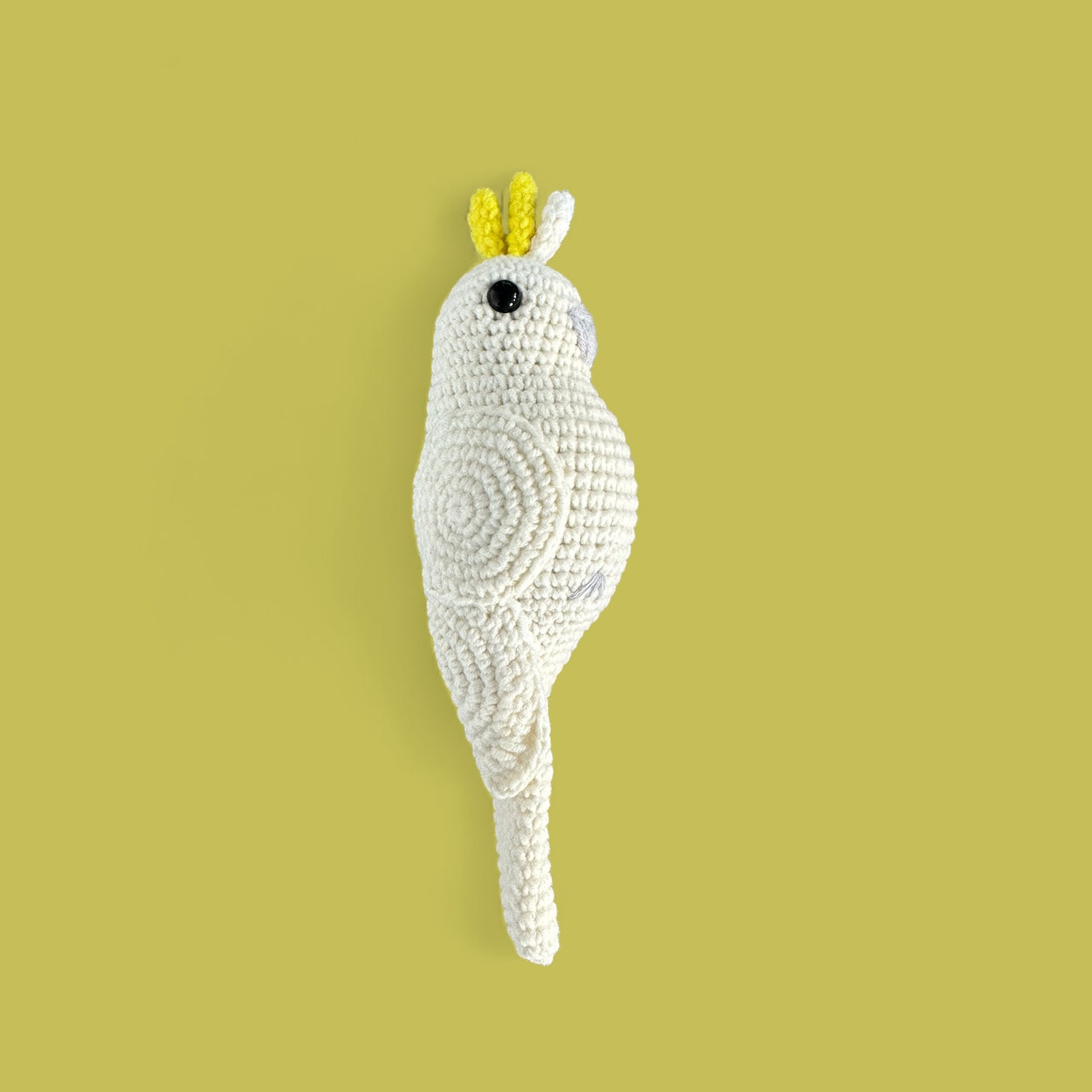 Australian Birds | Choose