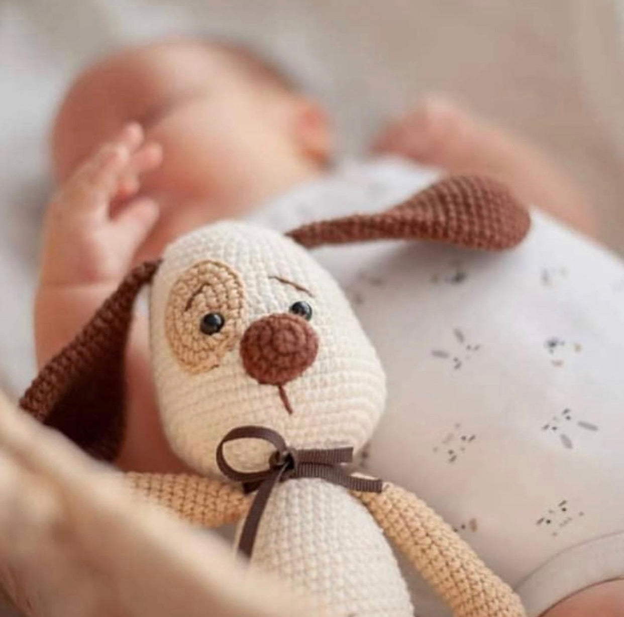 Henry The Little Dog