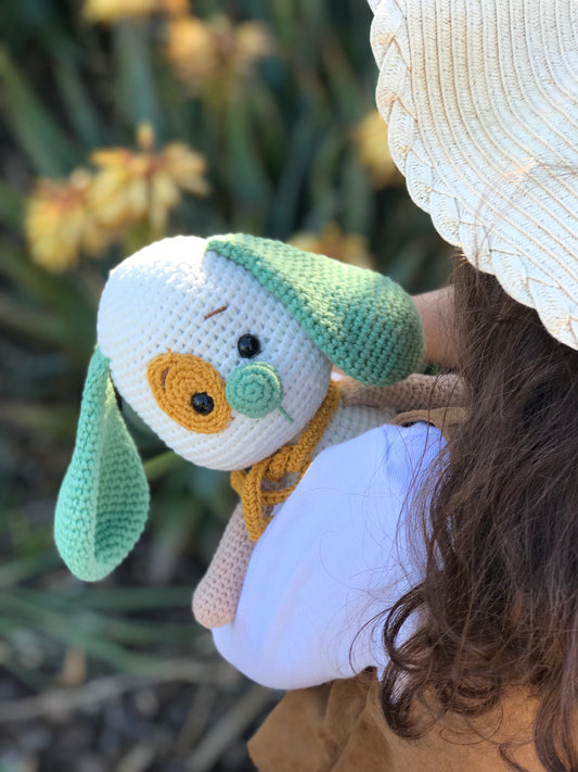 Henry The Little Dog