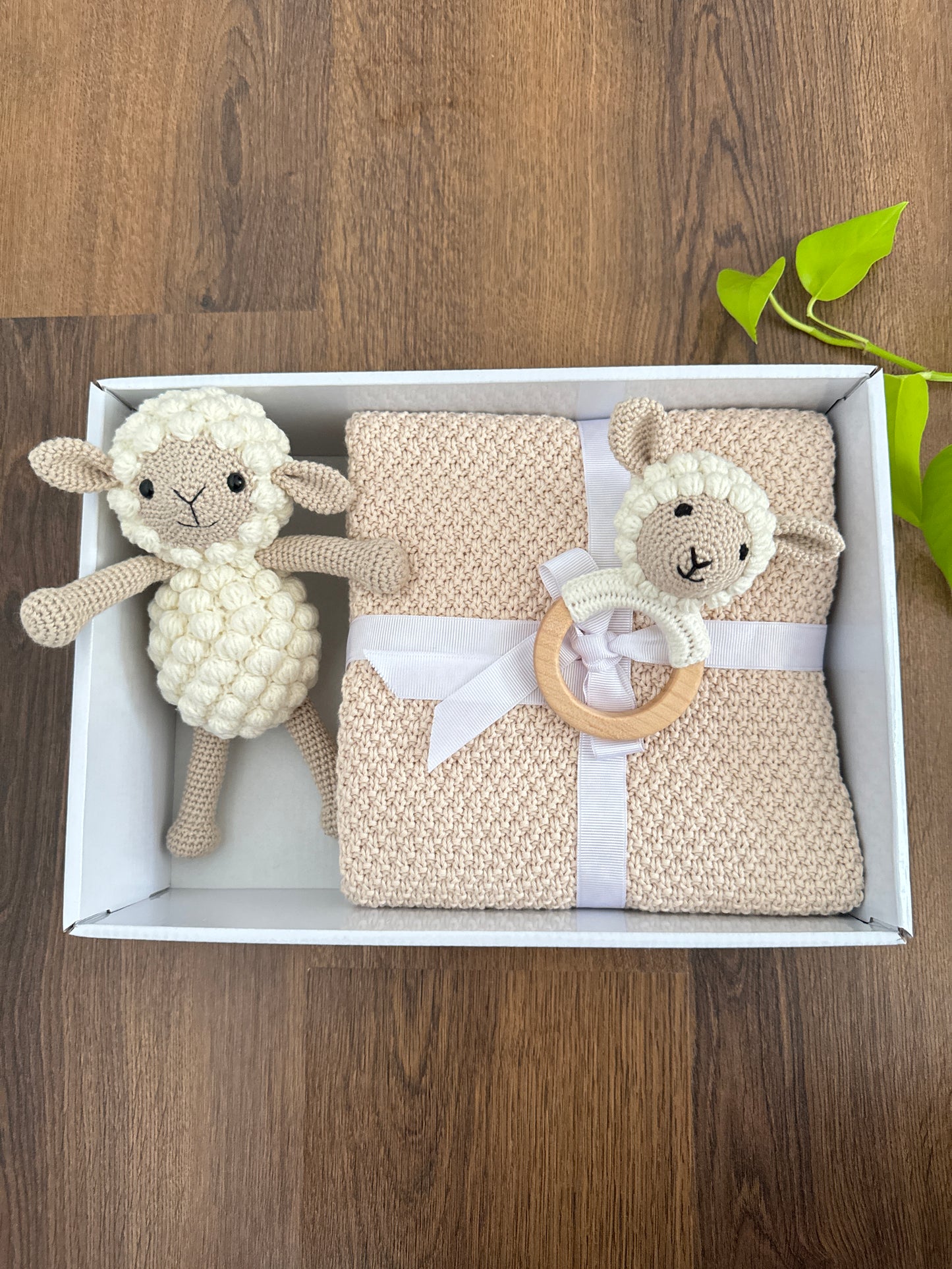 Baby Snuggle Gift Box