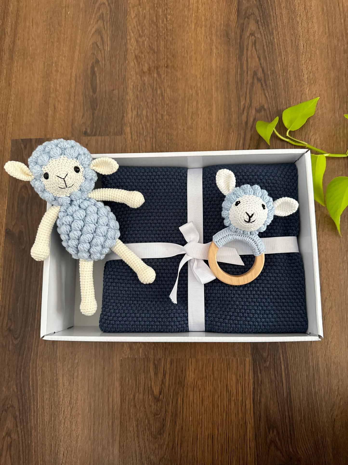 Baby Snuggle Gift Box